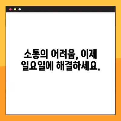 청각 장애인을 위한 차별화된 일요일 임플란트 치료| 편안한 소통과 안심 치료 | 청각 장애, 임플란트, 일요일 진료, 의사소통