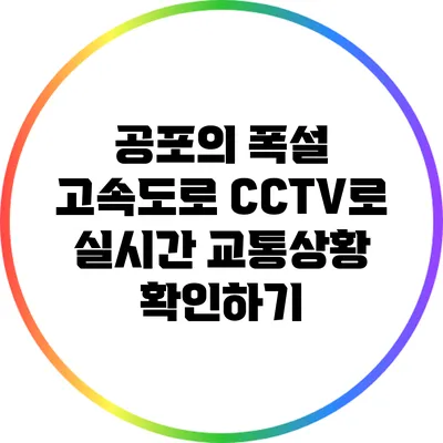 공포의 폭설? 고속도로 CCTV로 실시간 교통상황 확인하기