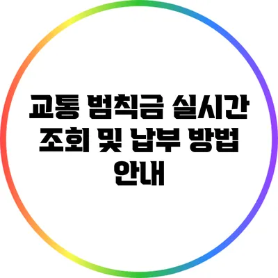 교통 범칙금 실시간 조회 및 납부 방법 안내