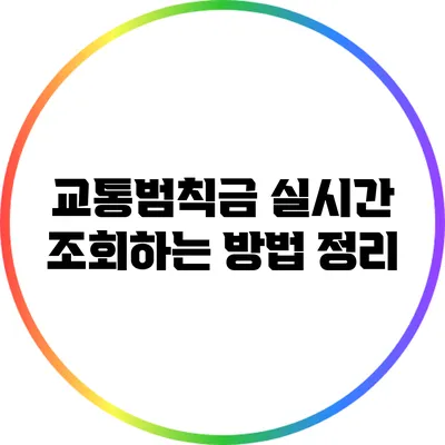 교통범칙금 실시간 조회하는 방법 정리