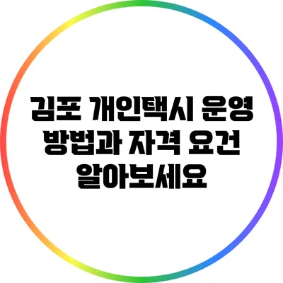 김포 개인택시 운영 방법과 자격 요건 알아보세요