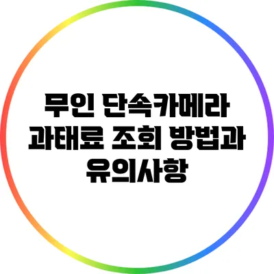 무인 단속카메라 과태료 조회 방법과 유의사항