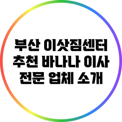 부산 이삿짐센터 추천: 바나나 이사 전문 업체 소개