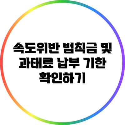 속도위반 범칙금 및 과태료 납부 기한 확인하기