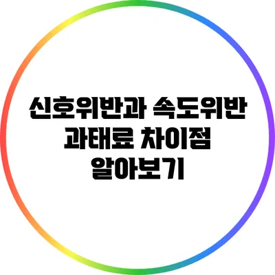 신호위반과 속도위반 과태료 차이점 알아보기