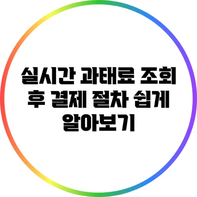 실시간 과태료 조회 후 결제 절차 쉽게 알아보기
