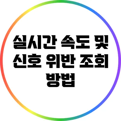 실시간 속도 및 신호 위반 조회 방법