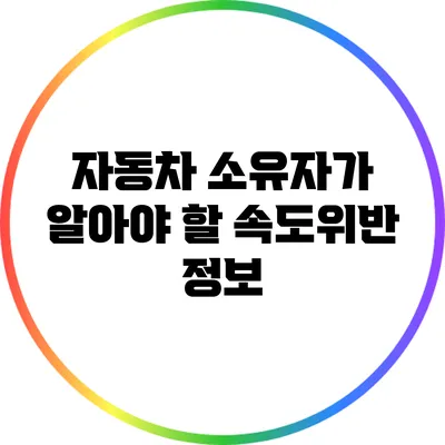 자동차 소유자가 알아야 할 속도위반 정보