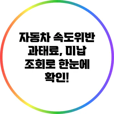 자동차 속도위반 과태료, 미납 조회로 한눈에 확인!