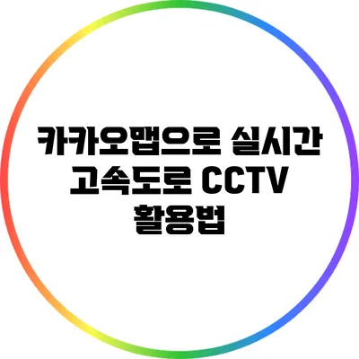 카카오맵으로 실시간 고속도로 CCTV 활용법