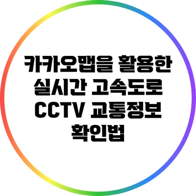 카카오맵을 활용한 실시간 고속도로 CCTV 교통정보 확인법