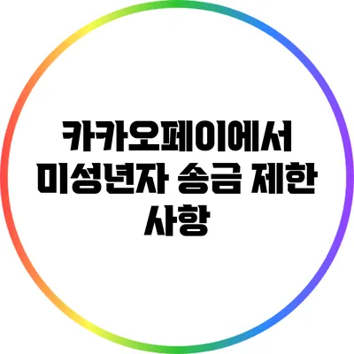 카카오페이에서 미성년자 송금 제한 사항