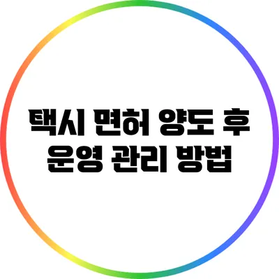 택시 면허 양도 후 운영 관리 방법