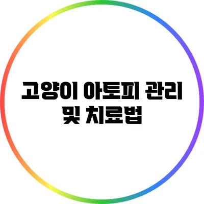 고양이 아토피 관리 및 치료법