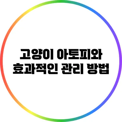 고양이 아토피와 효과적인 관리 방법