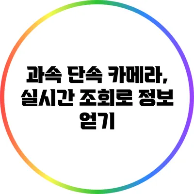 과속 단속 카메라, 실시간 조회로 정보 얻기
