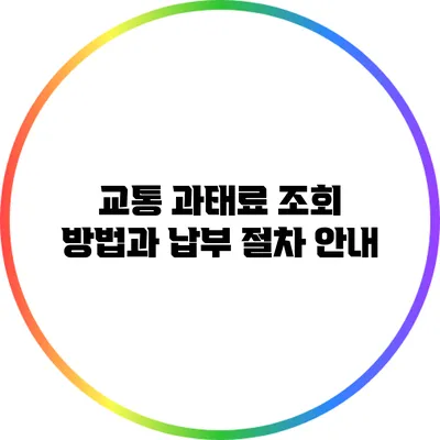 교통 과태료 조회 방법과 납부 절차 안내