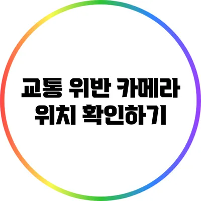 교통 위반 카메라 위치 확인하기