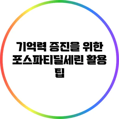 기억력 증진을 위한 포스파티딜세린 활용 팁