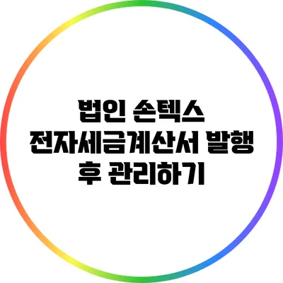 법인 손텍스 전자세금계산서 발행 후 관리하기
