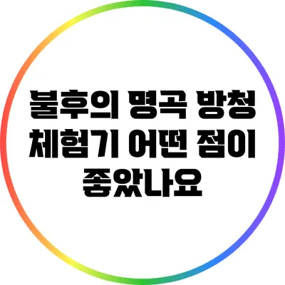 불후의 명곡 방청 체험기: 어떤 점이 좋았나요?