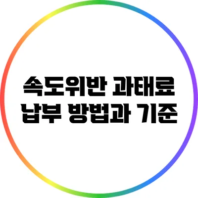 속도위반 과태료 납부 방법과 기준