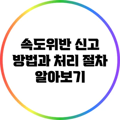 속도위반 신고 방법과 처리 절차 알아보기