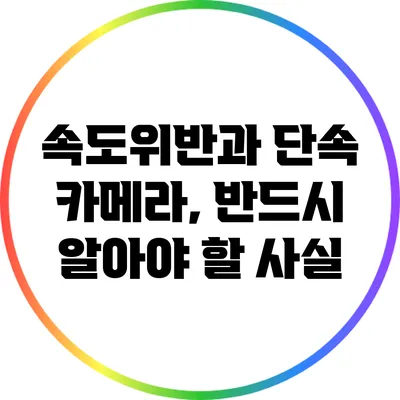 속도위반과 단속 카메라, 반드시 알아야 할 사실