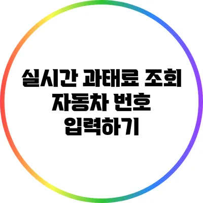 실시간 과태료 조회: 자동차 번호 입력하기