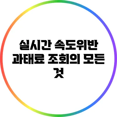 실시간 속도위반 과태료 조회의 모든 것