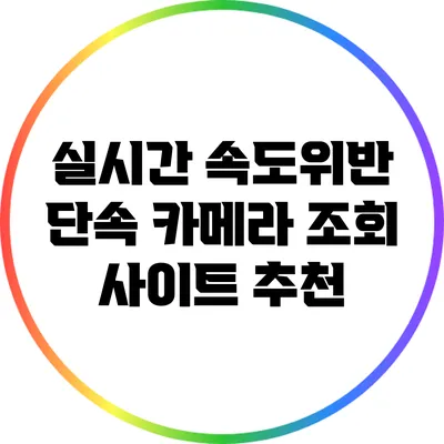 실시간 속도위반 단속 카메라 조회 사이트 추천