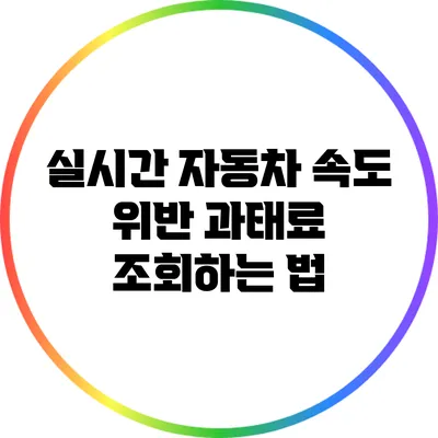 실시간 자동차 속도 위반 과태료 조회하는 법