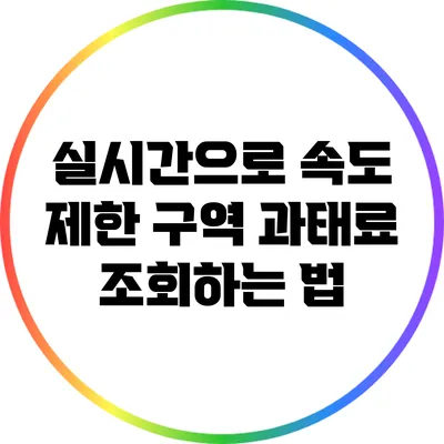 실시간으로 속도 제한 구역 과태료 조회하는 법