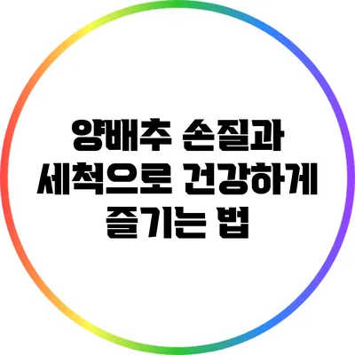 양배추 손질과 세척으로 건강하게 즐기는 법