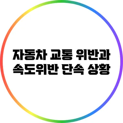 자동차 교통 위반과 속도위반 단속 상황