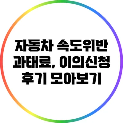 자동차 속도위반 과태료, 이의신청 후기 모아보기