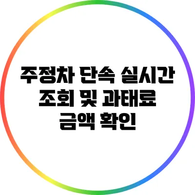 주정차 단속 실시간 조회 및 과태료 금액 확인