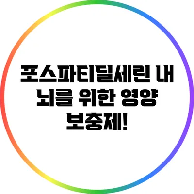 포스파티딜세린: 내 뇌를 위한 영양 보충제!