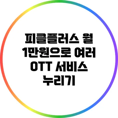 피클플러스 월 1만원으로 여러 OTT 서비스 누리기