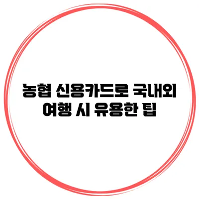 농협 신용카드로 국내외 여행 시 유용한 팁