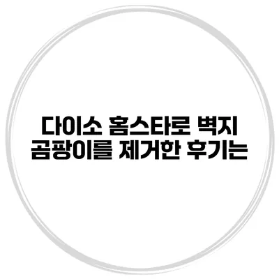 다이소 홈스타로 벽지 곰팡이를 제거한 후기는?