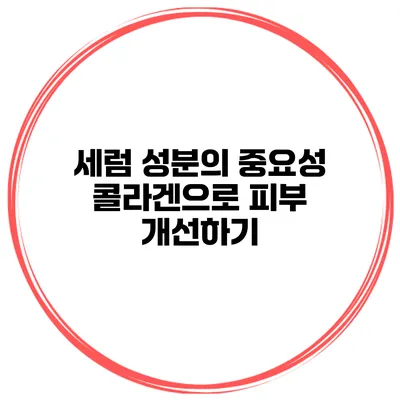 세럼 성분의 중요성 콜라겐으로 피부 개선하기