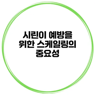 시린이 예방을 위한 스케일링의 중요성