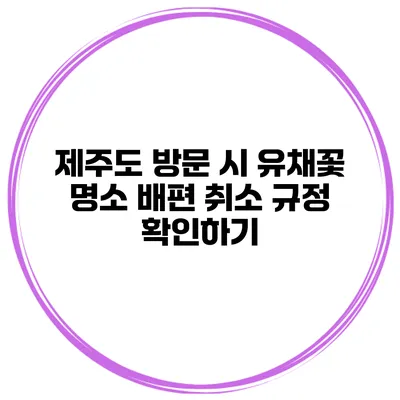 제주도 방문 시 유채꽃 명소 배편 취소 규정 확인하기