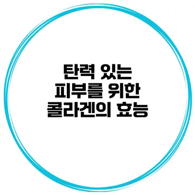 탄력 있는 피부를 위한 콜라겐의 효능