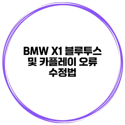 BMW X1 블루투스 및 카플레이 오류 수정법