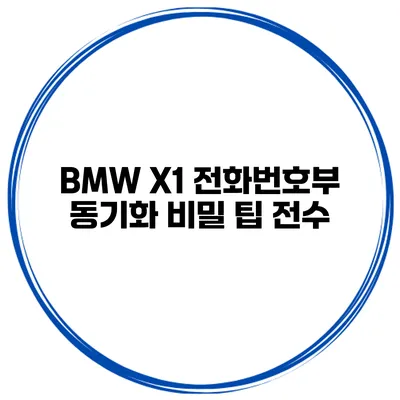 BMW X1 전화번호부 동기화 비밀 팁 전수