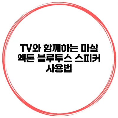 TV와 함께하는 마샬 액톤 블루투스 스피커 사용법