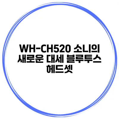 WH-CH520 소니의 새로운 대세 블루투스 헤드셋