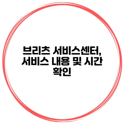브리츠 서비스센터, 서비스 내용 및 시간 확인